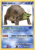 Durtle shark