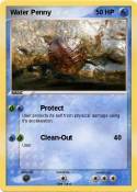 Water Penny