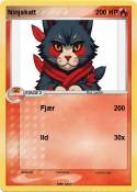 Ninjakatt