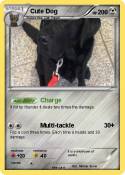 Cute Dog