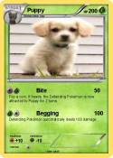Puppy
