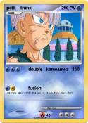 petit trunx