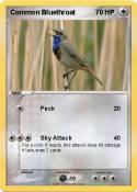 Common Bluethro