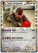 Turtle Terminat