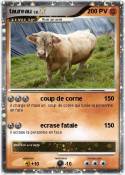 taureau