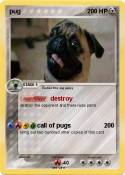 pug