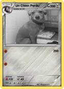 Un Chien Perdu