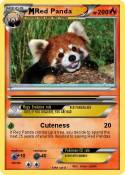 Red Panda
