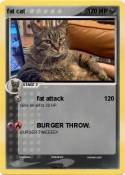 fat cat