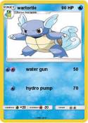 wartortle