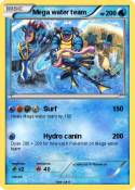 Mega water team