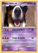 Hyper chien