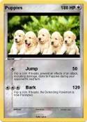 Puppies