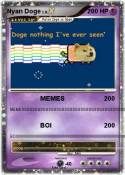 Nyan Doge