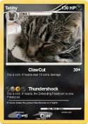 Tabby