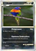 Pruua