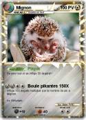Mignon
