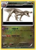 gatorbear