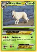 Loup blanc