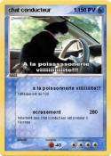 chat conducteur