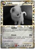 chaton