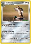 taxi duck