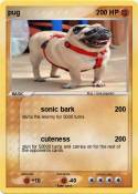 pug