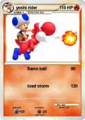 yoshi rider