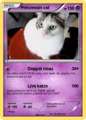 Prinzessin cat