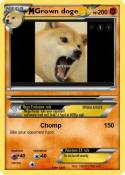 Grown doge