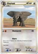 Elephant