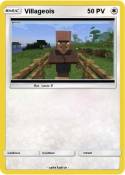 Villageois