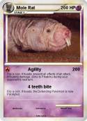 Mole Rat