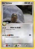 Old Tortoise