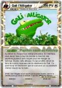 Gali