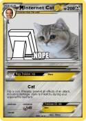 Internet Cat