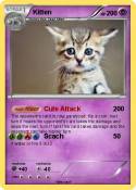 Kitten