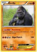 Gorilla
