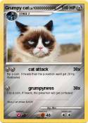 Grumpy cat