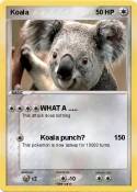 Koala