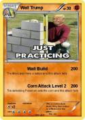 Wall Trump