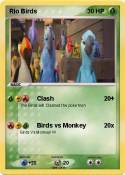 Rio Birds