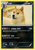doge