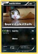 burrito kitteh