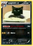 spagehetti cat