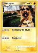 briard squad