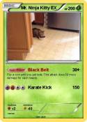 Mr. Ninja Kitty