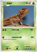 lizard