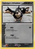 hydreigon chihu