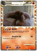 DOGE